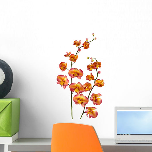 Orchids
