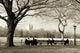Central Park Wall Decal Design 3
