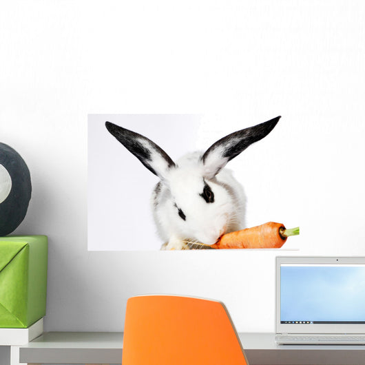 Rabbit Animal Wall Mural