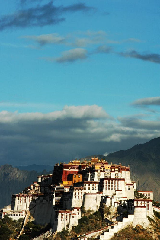 Potala Palace in Lhasa Tibet Wall Mural