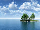 Birch Isla Cs Wall Decal