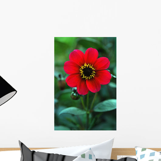 Red Flower Wall Mural