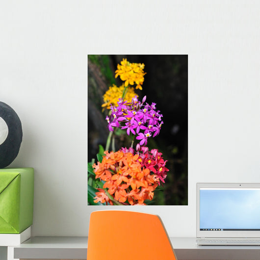 Color Flowers in the Forrest Wall Mural
