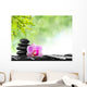 Spa concept Wall Mural