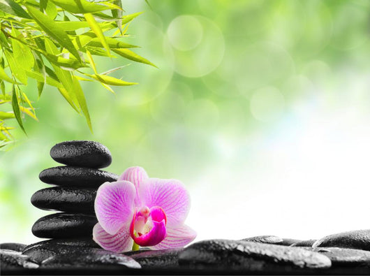 Spa concept Wall Mural