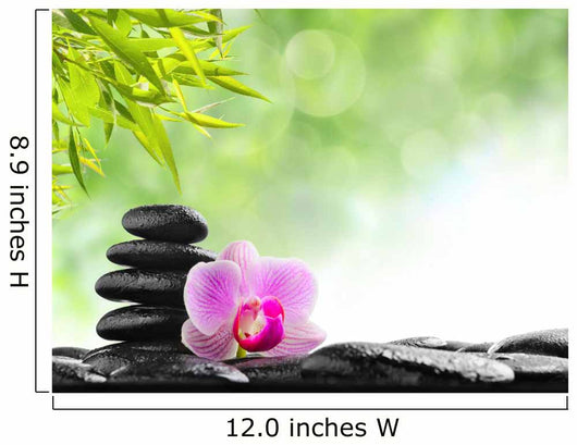 Spa concept Wall Mural