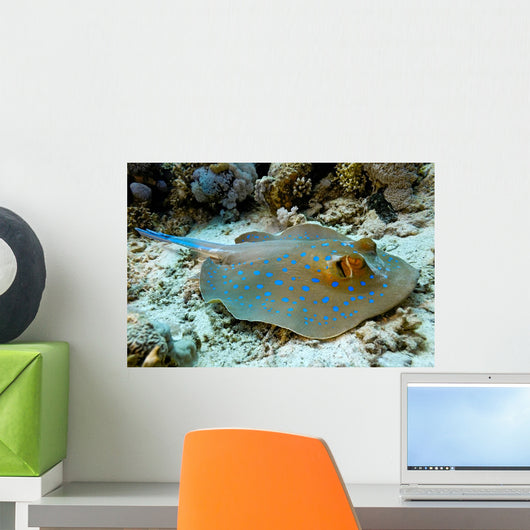 Bluespotted Stingray Wall Mural