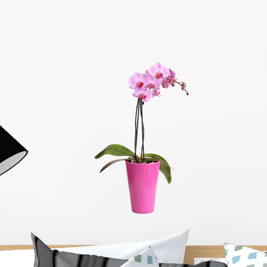 Beautiful Pink Orchid Pot