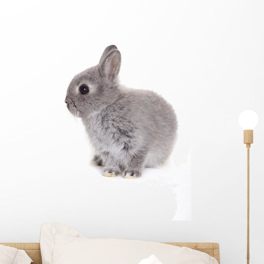 Little Gray Baby Bunny Wall Decal