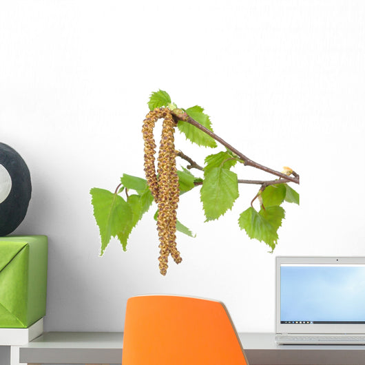 Flowers, leaves Wall Decal