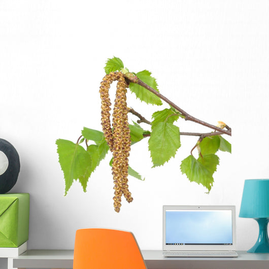 Flowers, leaves Wall Decal