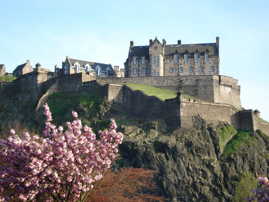 Edinburgh Castle Wall Mural