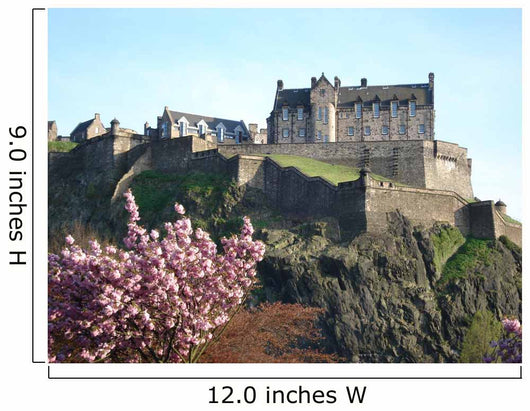 Edinburgh Castle Wall Mural