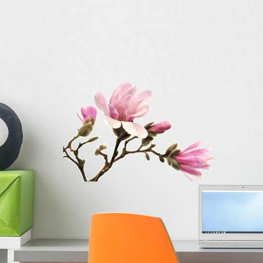 Pink Magnolia Flowers Wall Decal