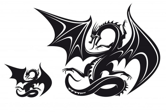 Fantasy Dragon Wall Mural