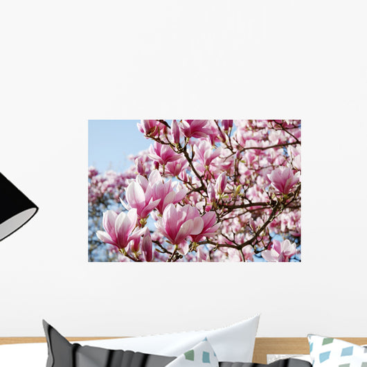 Bltentraum Rosa Magnolia