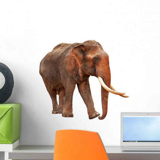 Released Elephant Wall Mural