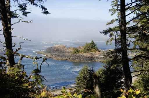 Foggy Pacific Coast Wall Decal