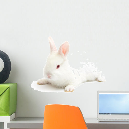 Rabbit Wall Mural