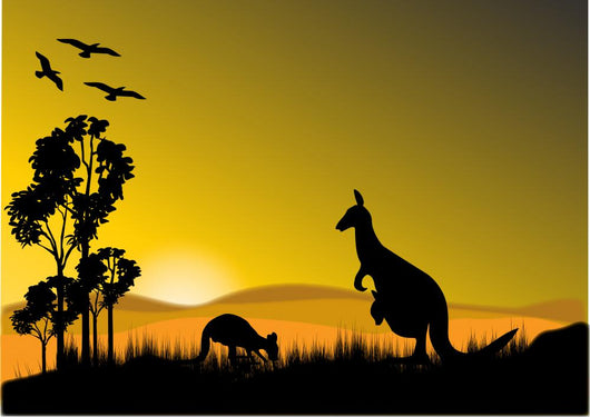 Kangaroo Sunset Horizion Wall Mural