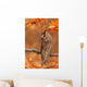 Long Eared Owl Wall Mural