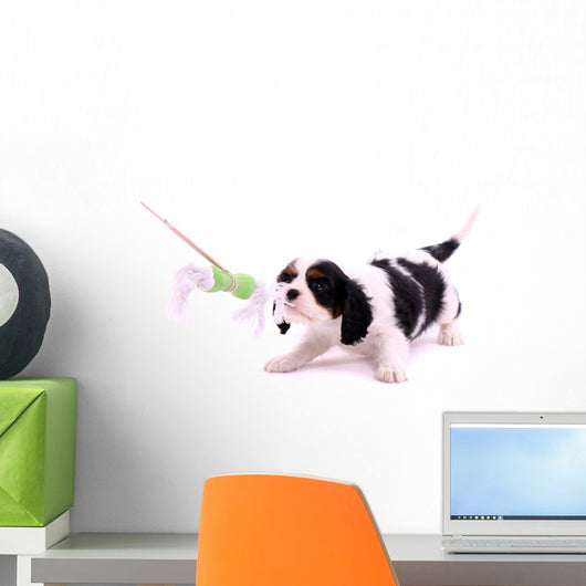 Cavalier puppy pulls on toys Wall Decal