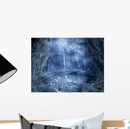 Foggy Forest