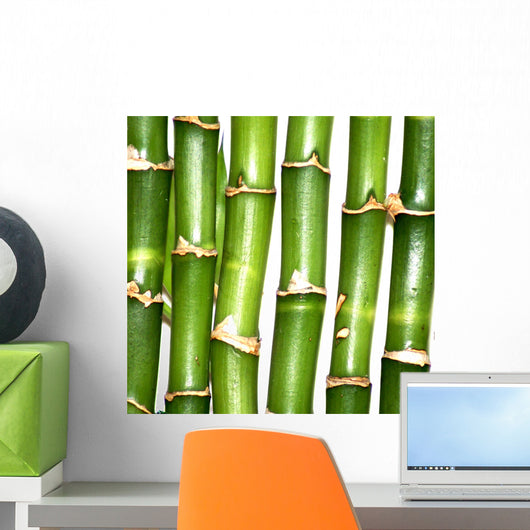 Bamboo Wall Mural