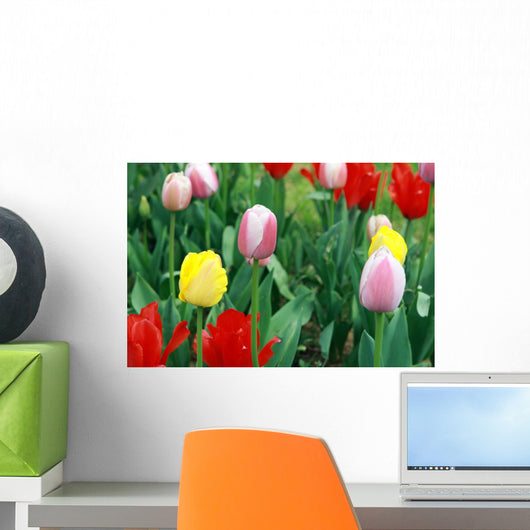 Tulip Period in istanbul, Turkey. Wall Mural
