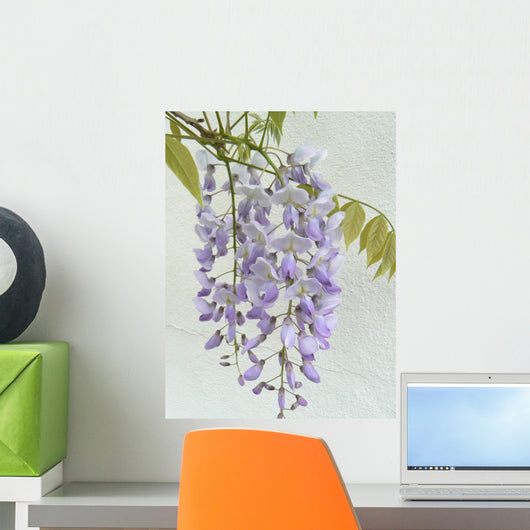 Wisteria Wall Mural