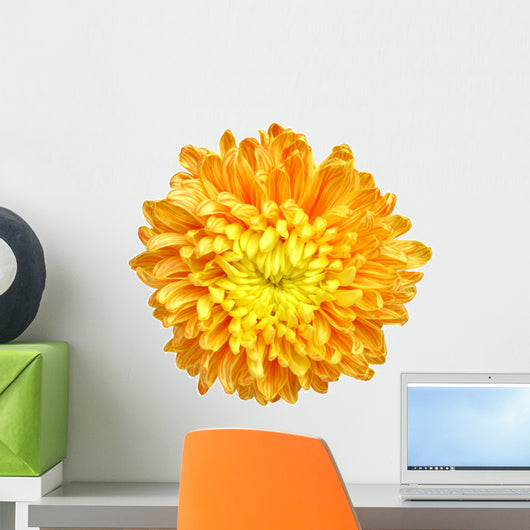 Chrysanthemum - 1 Wall Decal