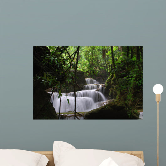 in the jungle Wall Mural