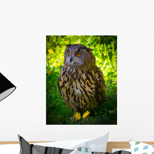 Owl Wall Mural
