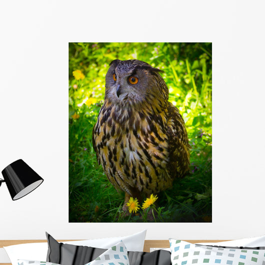 Owl Wall Mural