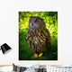 Owl Wall Mural