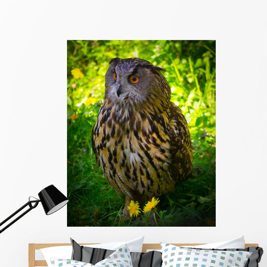 Owl Wall Mural