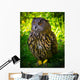 Owl Wall Mural