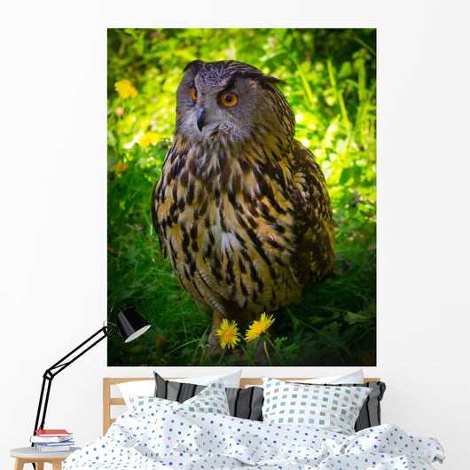 Owl Wall Mural