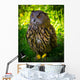 Owl Wall Mural