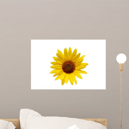 Sunflower over White Wall Decal