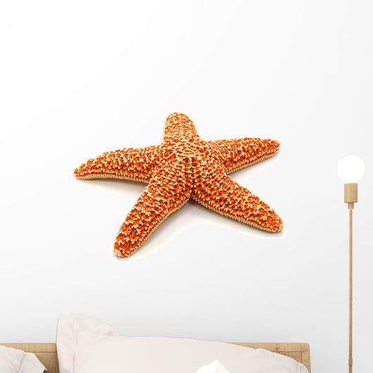 Starfish