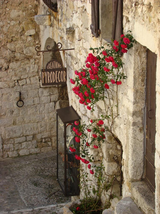 Gebe Roses Wall Mural