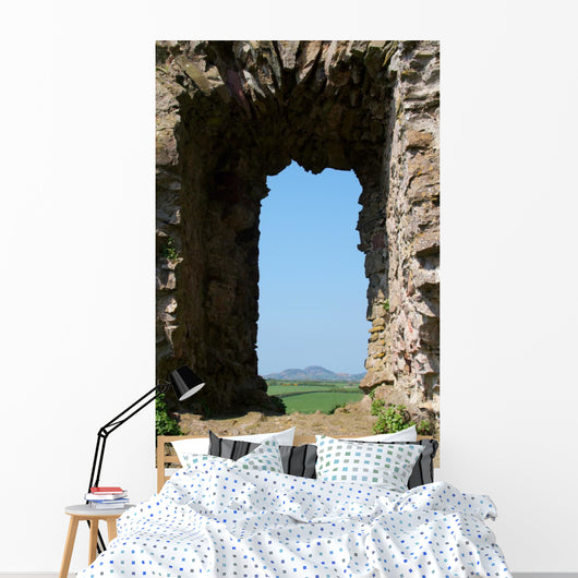 Roches Castle Window