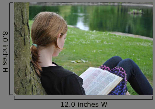Child Studying Holy Bible