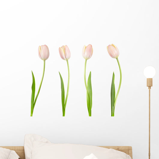 Tulip Collection Wall Decal