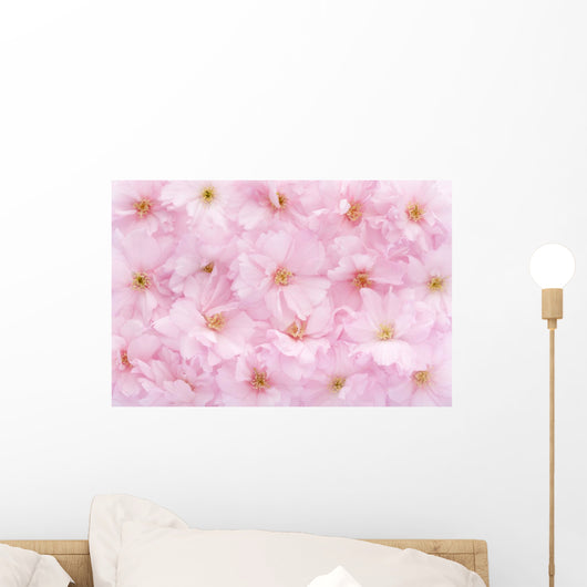 Pink Flower