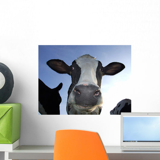 Cow Wall Mural
