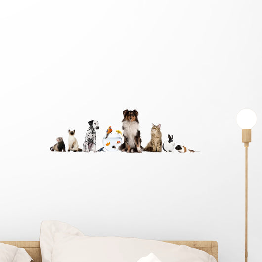 Pets Sitting in Front of White Background Wall Decal