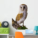 Perched Barn Owl Wall Decal