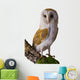 Perched Barn Owl Wall Decal